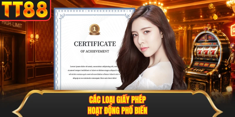 Các loại giấy phép hoạt động phổ biến Các loại giấy phép hoạt động phổ biến