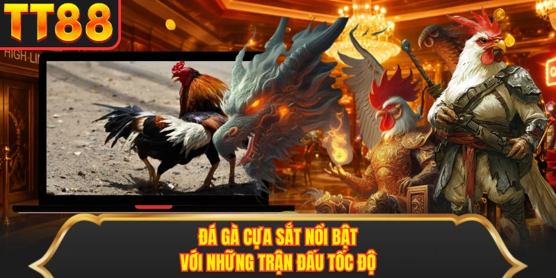 Đá gà cựa sắt nổi bật với những trận đấu tốc độ Đá gà cựa sắt nổi bật với những trận đấu tốc độ