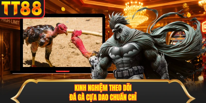 Kinh nghiệm theo dõi đá gà cựa dao chuẩn chỉ Kinh nghiệm theo dõi đá gà cựa dao chuẩn chỉ
