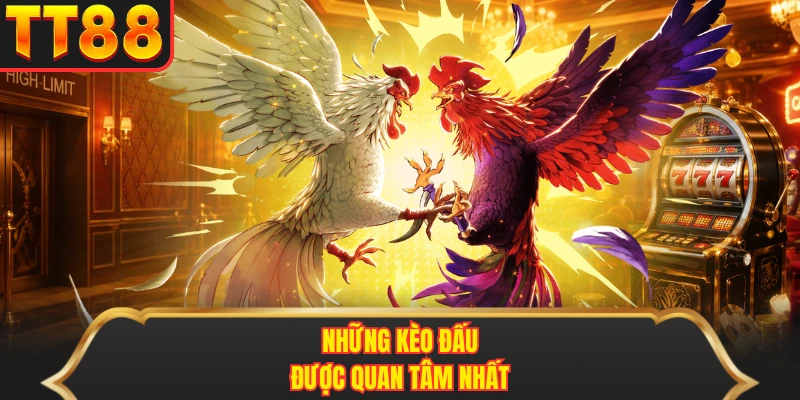 Những kèo đấu được quan tâm nhất Những kèo đấu được quan tâm nhất
