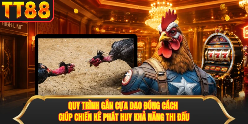 Quy trình gắn cựa dao đúng cách giúp chiến kê phát huy khả năng thi đấu Quy trình gắn cựa dao đúng cách giúp chiến kê phát huy khả năng thi đấu